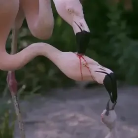 Even with the explanation it looks disturbing.