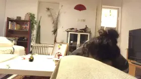 Spot Me While I Deadlift?