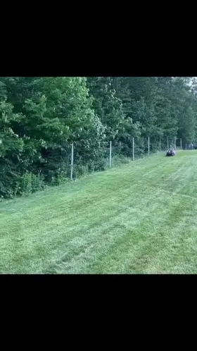 HMFT after I run over myself