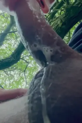 Sometimes you just need to slobber on a dick in the park