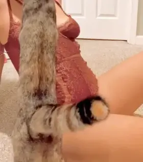 Ignores me all day but when I’m trying to do a shoot I’m suddenly her best friend 🤦‍♀️🐱