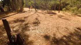 Most risky sex we ever had...getting a blowjob right by the path!