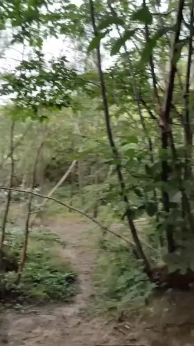 Doesn't matter where we are, if daddy wants to cum, I serve ❤️