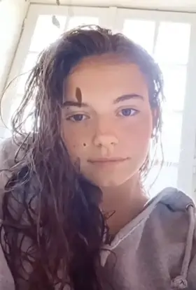 Cum Tribute on request