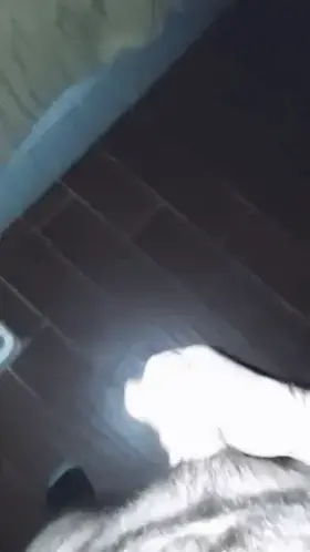 I made Hubby stand in the corner and stroke his tiny cock while a well-hung stud pounded my pussy and made me scream like a wild animal! 😯