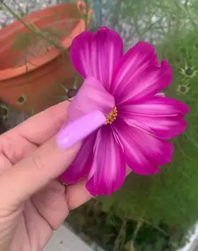 Would you stroke my other ‘flower’? 🌸😜💕