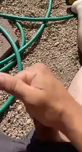 this is what happens when you send me pics while im gardening 🥵