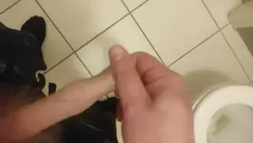 Love playing with it. Would you?