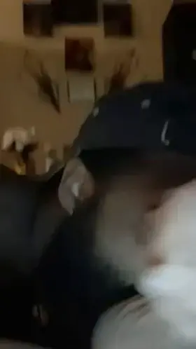 Anyone scrolling and up right now?