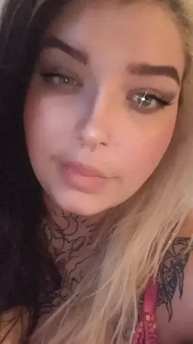 Everyone traveling for Thanksgiving, how about a trip down south?