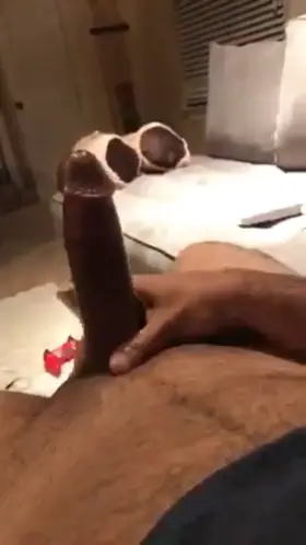 Who wants a creampie?