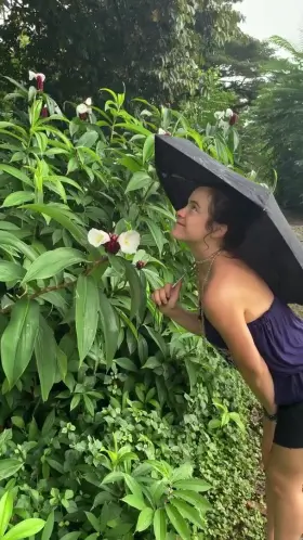 I love playing in the jungle.