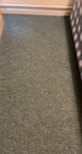 Anyone free to clean up the mess for me?