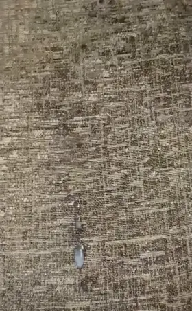 HUGE CUMSHOTS 💦💦💦