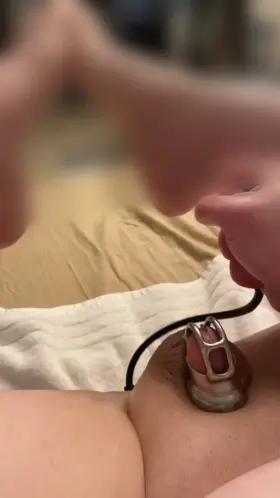 My castrated, permanently caged, pussy free beta sissy, super tiny orgasm. It all the pleasure I deserve.