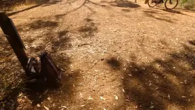 Literally holding the moan on a popular trail [GIF]