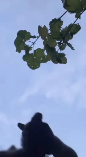 I couldn't stop cumming💦 20(M)