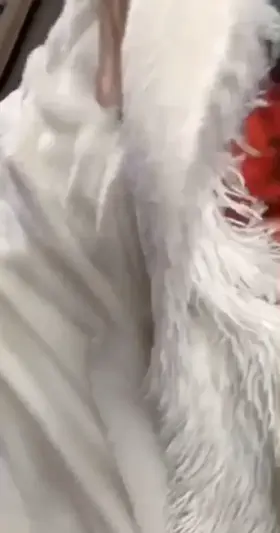 what would you do if you woke up to this?😉