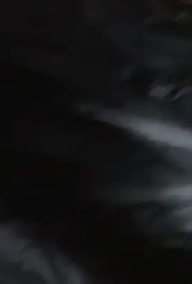 if you’re wondering why i’m posting so much it’s bc i’m hella bored [f20]