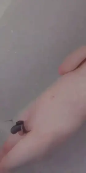 Shower with a bit of cummies on the side heheh