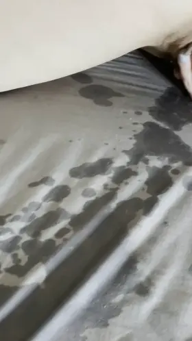 Imagine how amazing this dripping wet pussy would feel on your dick rn 💦 [f] [oc]