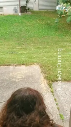 We want all the neighbors to see!