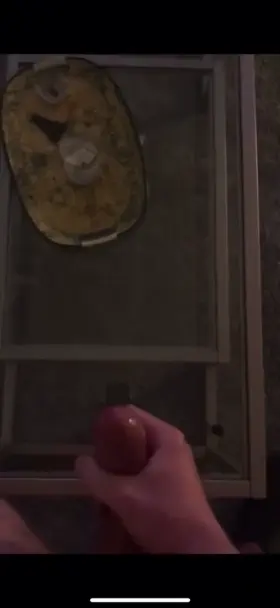 Glass table cumshot