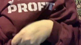 heavier and bigger than you thought 🥸💕