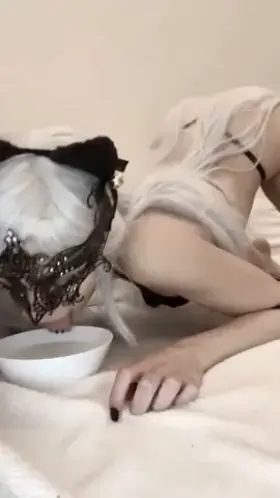 Leashed kitty drinking her milk like a good girl [F]