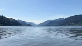 Wait… are we doing the doggy paddle right?