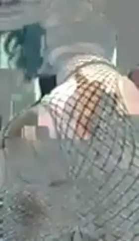 she triggers me so fucking hard! can't wait to goon and worship her fat ass.