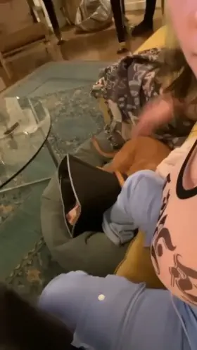 The dog represents all of us