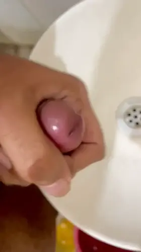 Organic Thick Curd💦💦