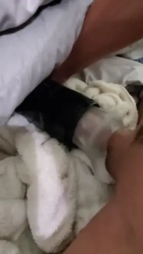 Have to empty my balls! Wife can't keep up