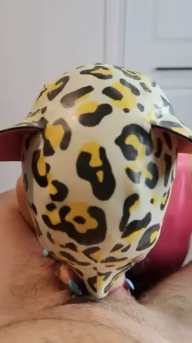 Hungry for milk 🐱