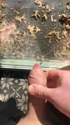 Wonder if anyone saw