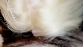 So much cum but ready for more [video]