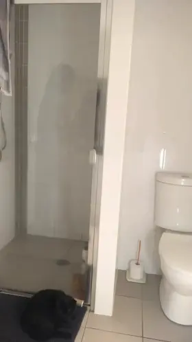 Do you think hairy armpits and tiny tits are a good combo?