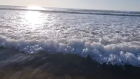 Who wants to join me on the beach?