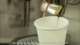 Sofia Botelho English class in Mtv Brazil Descolados (2009)