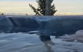 [Gif] Cue Jaws theme music