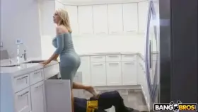 Nikki Benz distracts the plumber