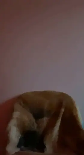 Rock solid and ready to bust😈 20M