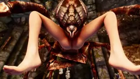 Getting ready to be an egg host