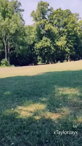 The guys at the park kept looking over at me chilling out in my micro bikini bottoms, so I tried to have a little play