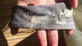 [selling] been so wet in them🙈wanna feel my grool and cum?😌kik: dinna999 (serious inquires only)