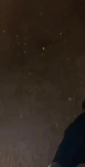 Leaving dinner 28 (OC)