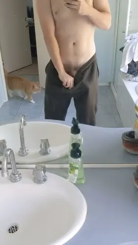 My cat thought it would be a good idea to ruin my video.