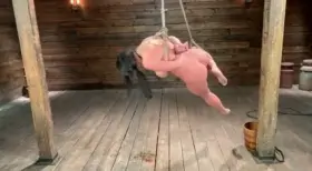 🔥Tied hot girl having big orgasms🔥FREE CONTENT⬇️https://link-to.net/161228/01ang