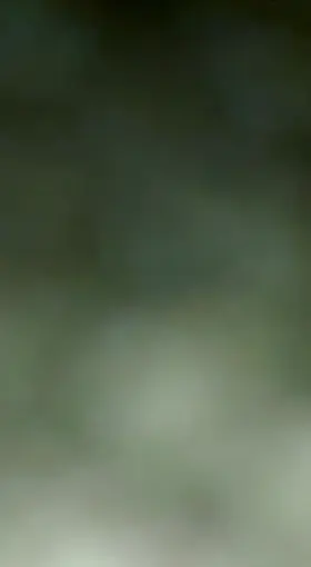 cumslut i loved fucking this woman bareback - cuck wants to know what you think